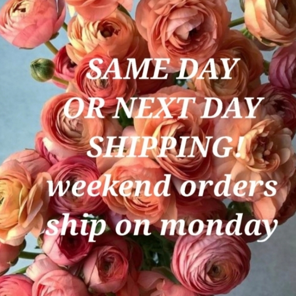 Brand New 2 Mouse Ears Headbands Shiny Sequins Party. - Picture 11 of 11